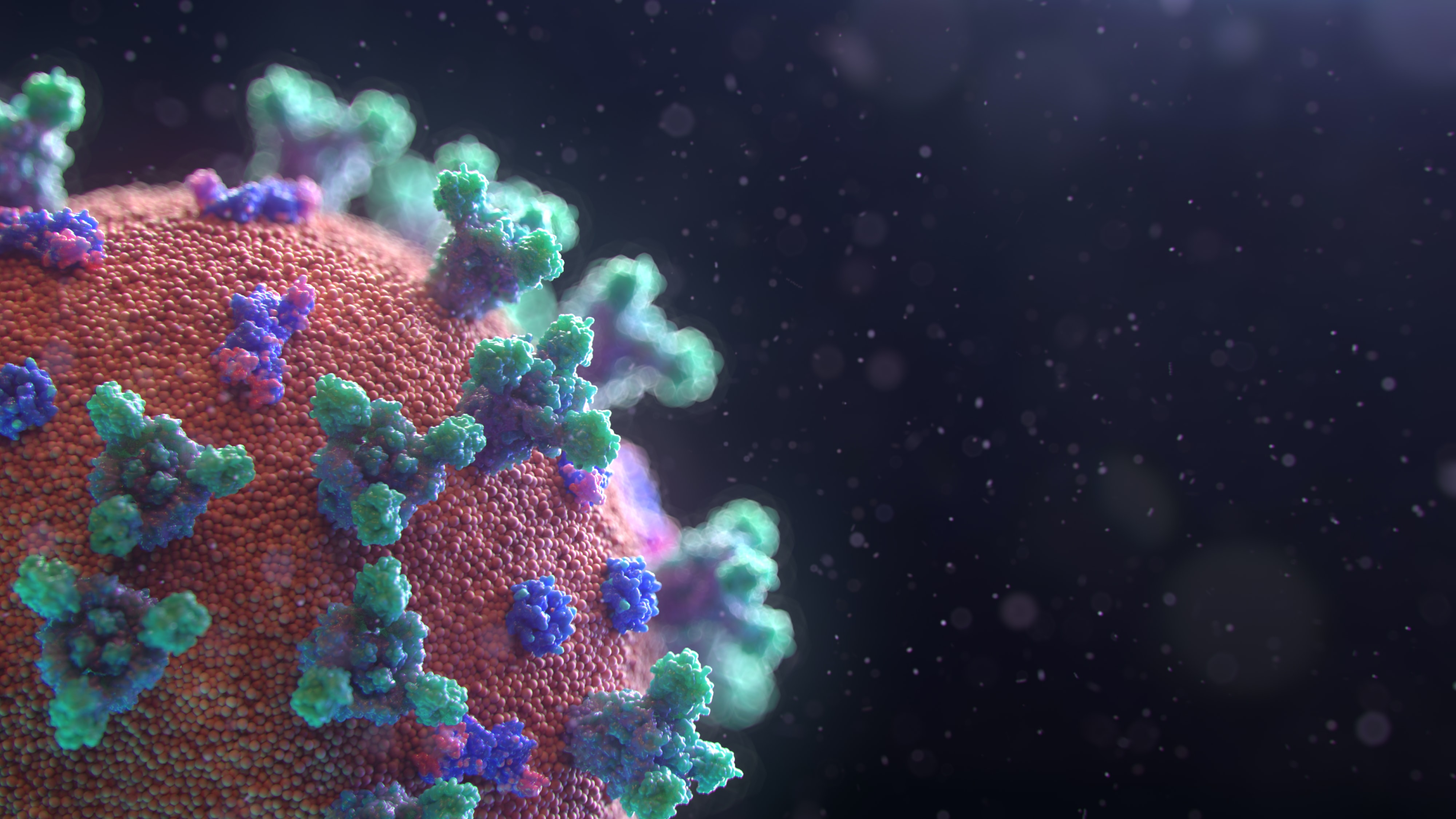 Image: Fusion Medical Animation