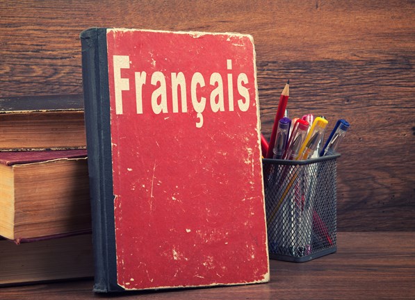 canva learning french