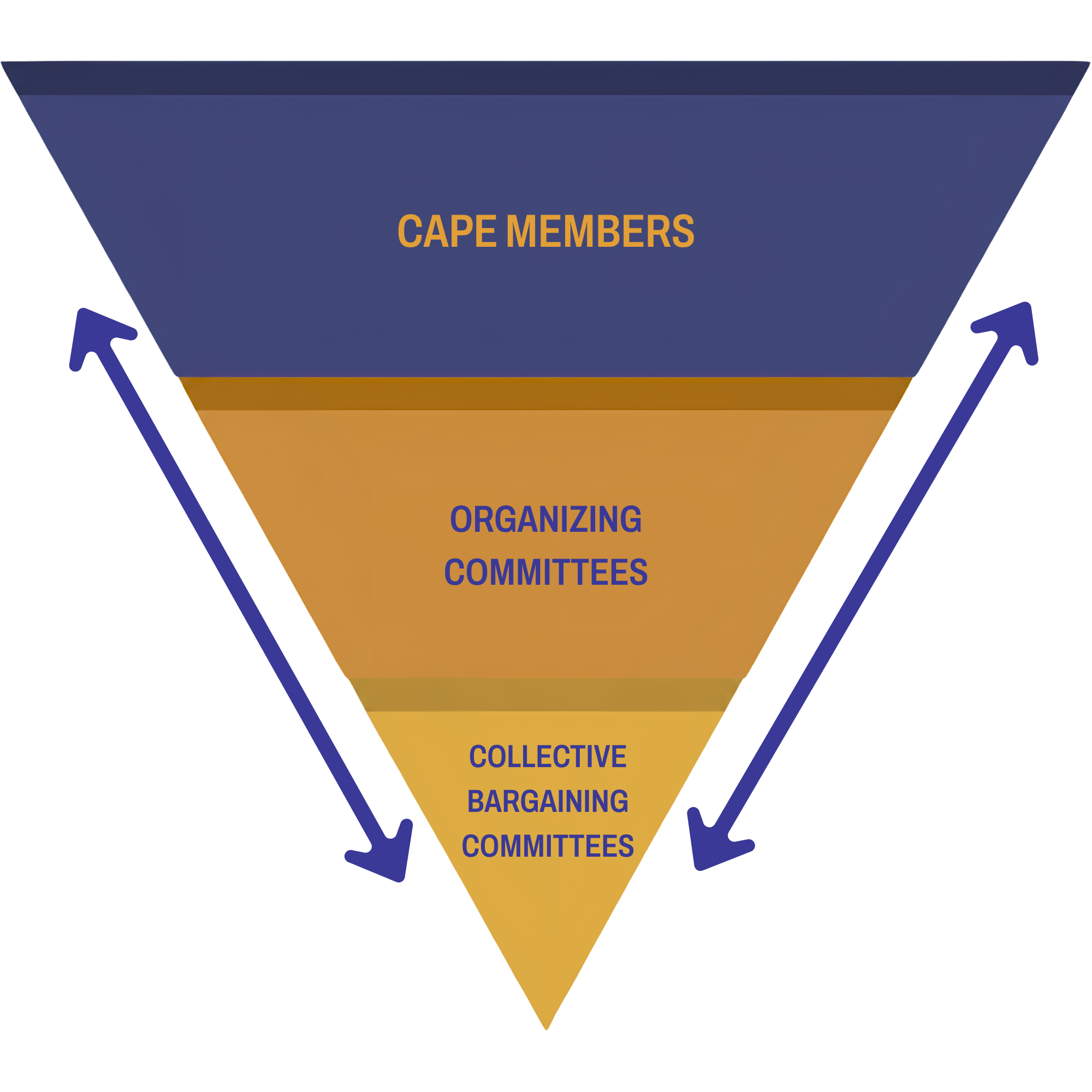 How CAPE member-led groups work together
