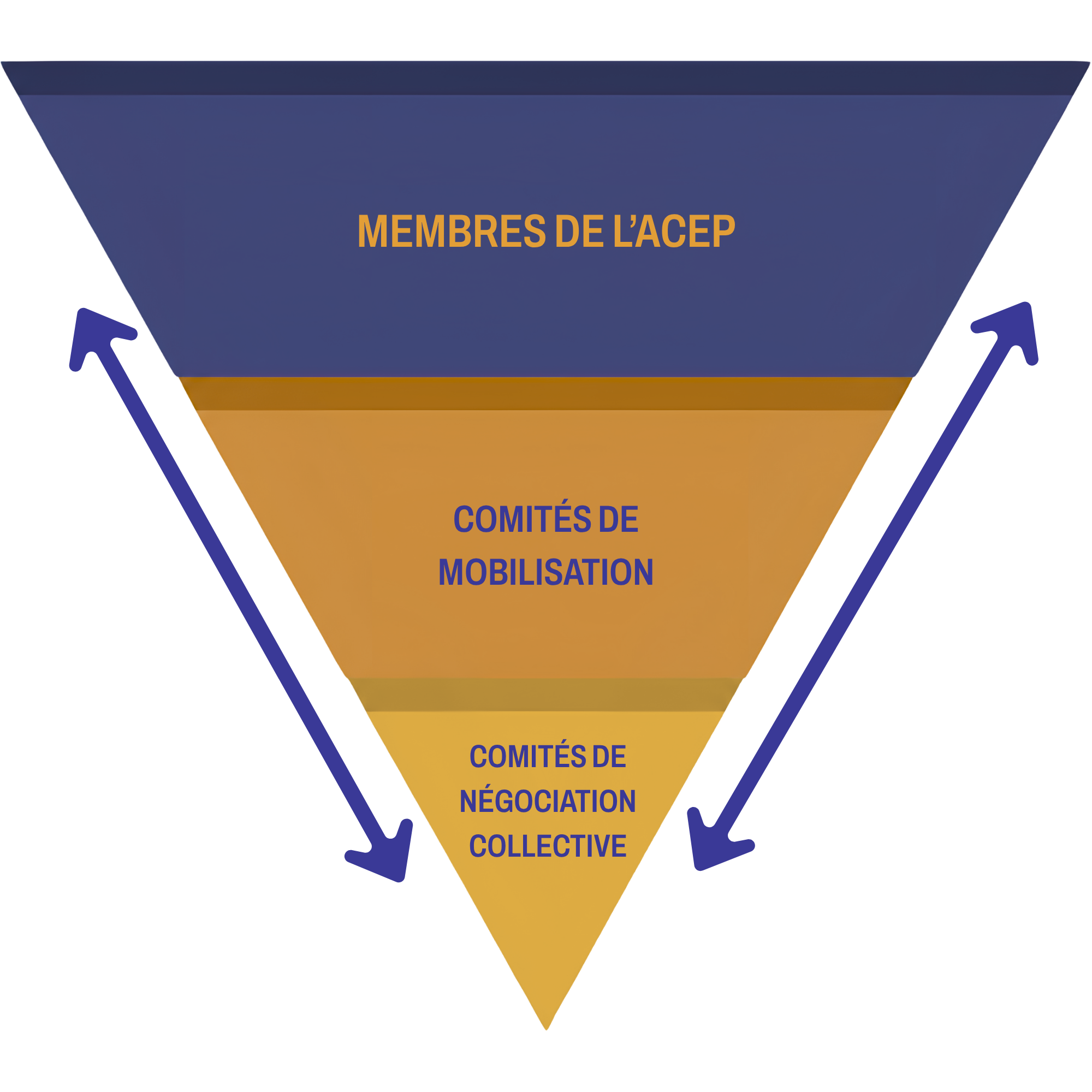 Comment les groupes dirigés par les membres de l'ACEP collaborent 