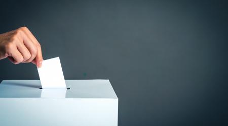 Vote ballot